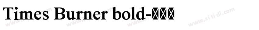 Times Burner bold字体转换